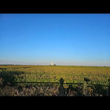 Zum Kuhstall Appartement Altdorf (Neustadt)