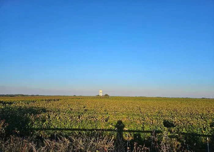 Zum Kuhstall Apartment Altdorf (Neustadt)